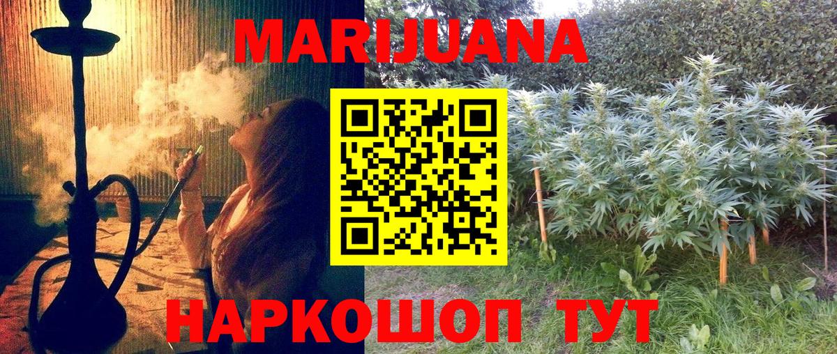 Бошки Шишки планчик  Шишки марихуана SATIVA & INDICA  Вход с VPN  Шишки марихуана гибрид  Зеленогорск 